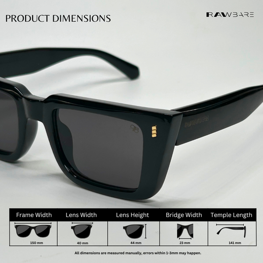 Sierra Shades - Black / RB2474