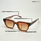 Classic Roamer - Brown Polarized Wayfarer Sunglasses - RB2453