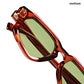 Mumbai Hush - Pali Geometric Cateye Sunglasses - RB3032