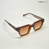 Classic Roamer Shades - Brown / RB2453