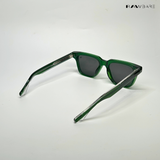 Waypoint - Green Wayfarer Sunglasses - RB2528