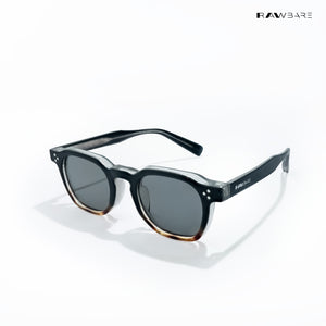 Jibhi Aster - Sable Wayfarer Sunglasses - RB2595
