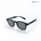 Jibhi Aster - Sable Wayfarer Sunglasses - RB2595