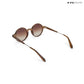 Pondy Palette - Cocoa Dusk Round Sunglasses - RB2551