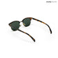 Delhi Daze - Pine Haze Clubmaster Half Rim Sunglasses - RB2560