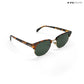 Delhi Daze - Pine Haze Clubmaster Half Rim Sunglasses - RB2560