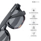 Jibhi Aster - Sable Wayfarer Sunglasses - RB2595