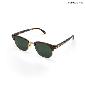 Delhi Daze - Pine Haze Clubmaster Half Rim Sunglasses - RB2560