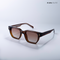Classic Roamer - Brown Polarized Wayfarer Sunglasses - RB2453