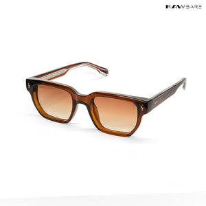 Classic Roamer - Brown Polarized Wayfarer Sunglasses - RB2453