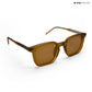 Quadra - Brown Polarized Square Sunglasses - RB2428