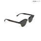 Lucknow Lush - Espresso Gild Polarized Clubmaster Half Rim Sunglasses - RB2659