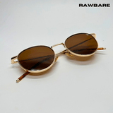 Classic Metal Sunglasses - Brown Gold / RB2419 - RawBare