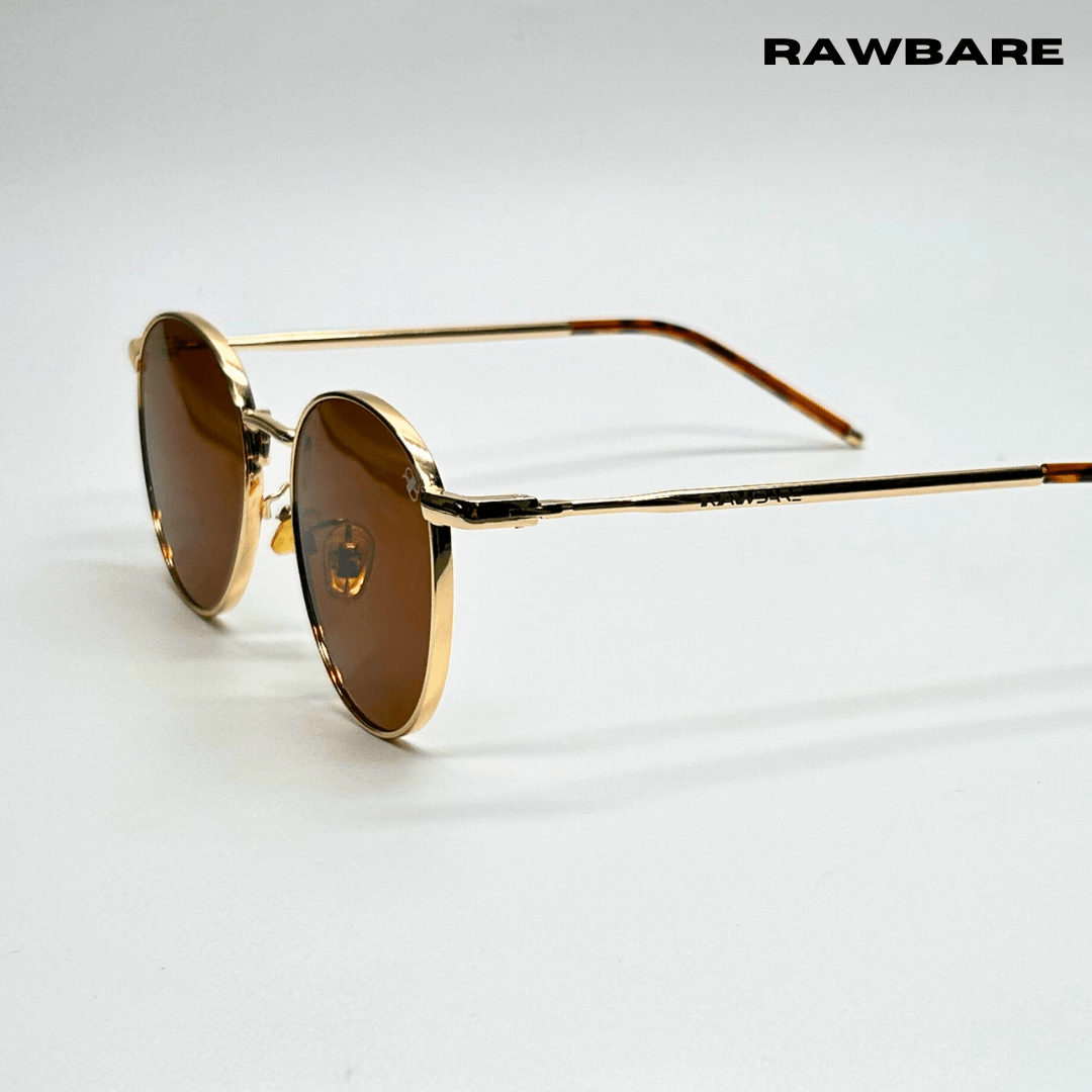 Classic Metal Sunglasses - Brown Gold / RB2419 - RawBare