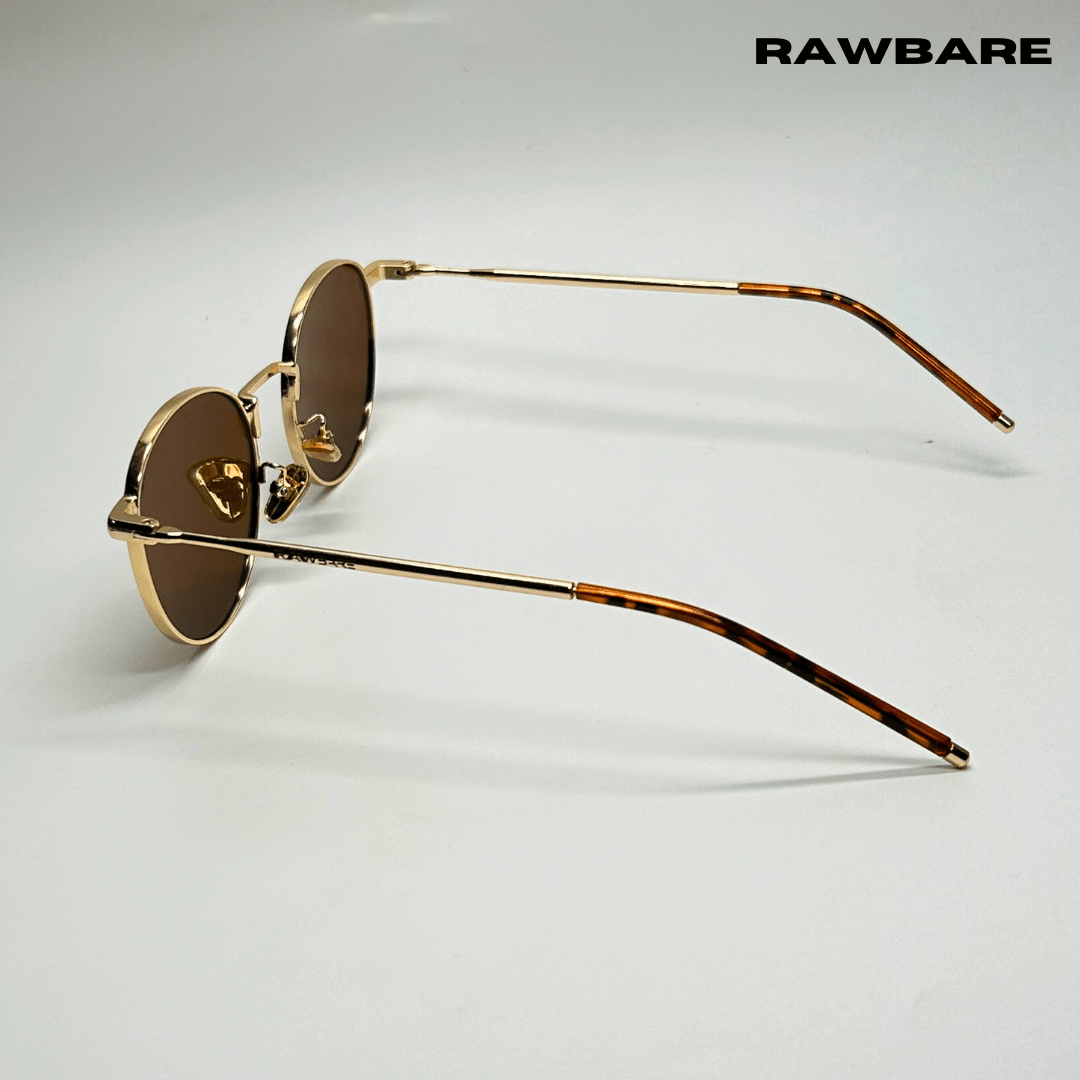 Classic Metal Sunglasses - Brown Gold / RB2419 - RawBare