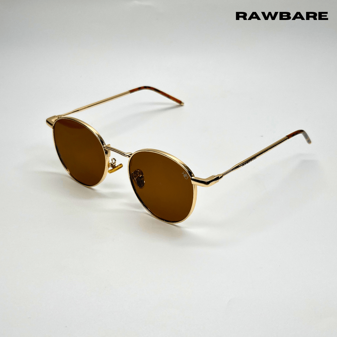 Classic Metal Sunglasses - Brown Gold / RB2419 - RawBare