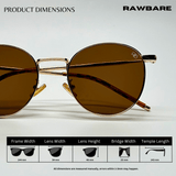 Classic Metal Sunglasses - Brown Gold / RB2419 - RawBare