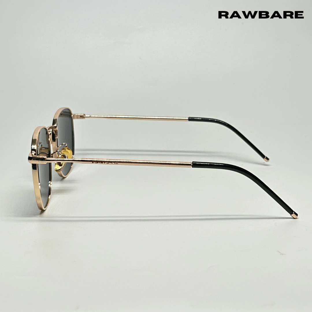 Metal Glint Sunglasses - Black Gold / RB2433 - RawBare