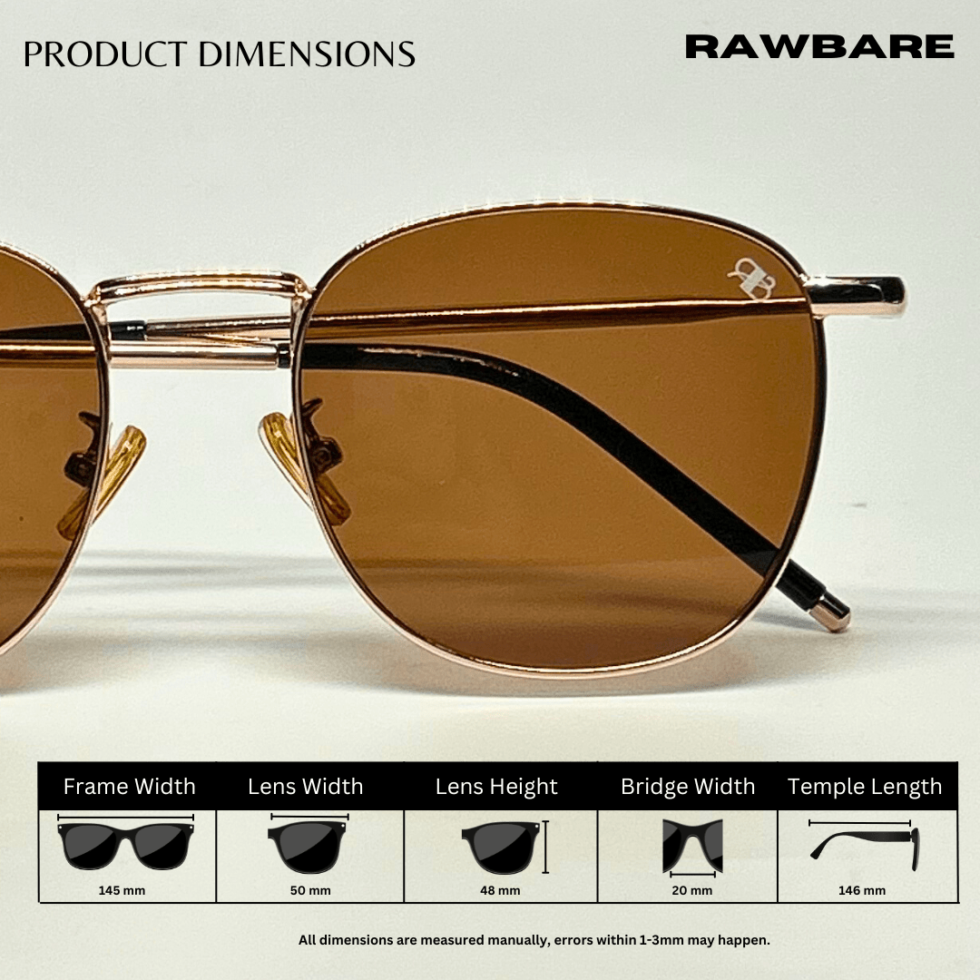 Metal Glint Sunglasses - Brown Gold / RB2434 - RawBare